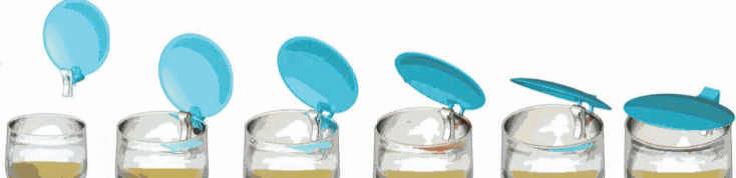 10 pieces CLIP-CLAP jar lids