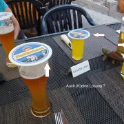 STARTSET Mini 8 x SAN-Kunststoffgläser (bruchfest )  + 5ér-Pack Glasschutz + Parkscheinhalter